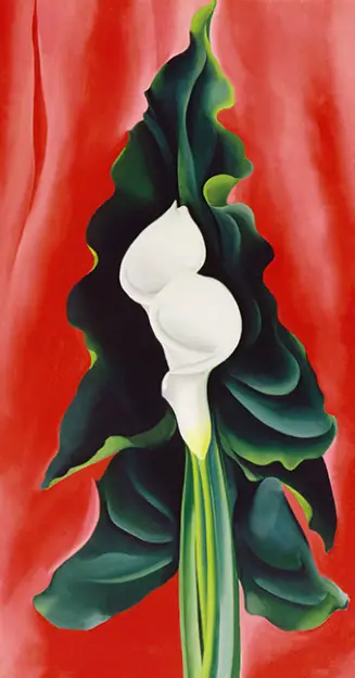 Calla Lilies on Red Georgia O'Keeffe